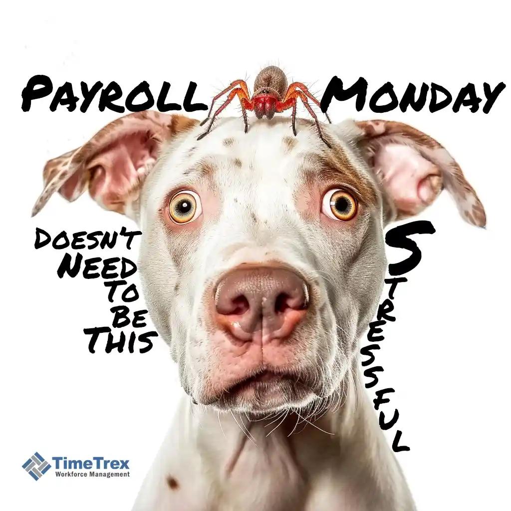 A dog with a spider on his head and the text: Payroll Monday doesn't need to be this stressful.