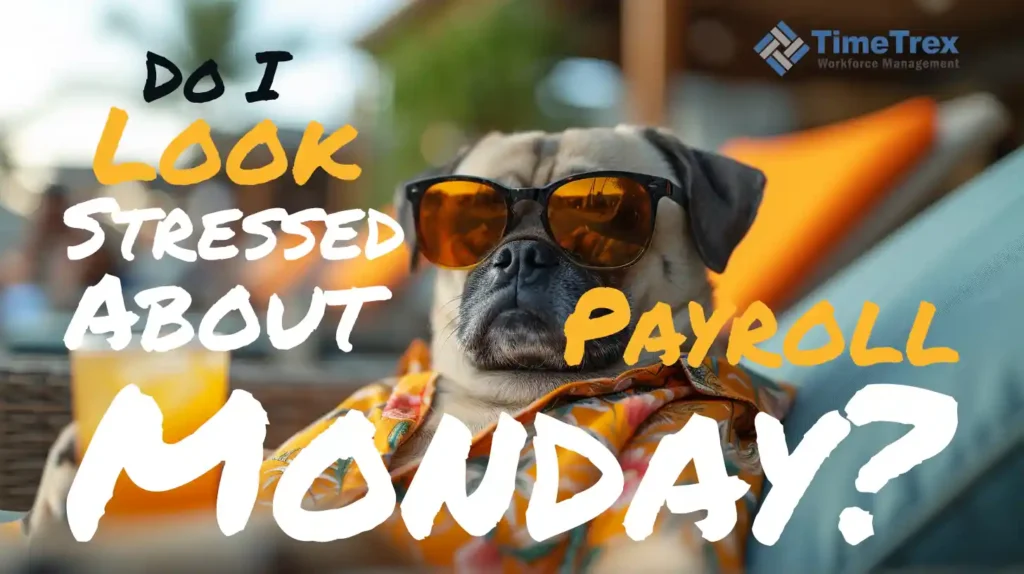 A relaxed pug in a Hawaiian shirt with a drink and text that reads: Do I look stressed about payroll Monday?
