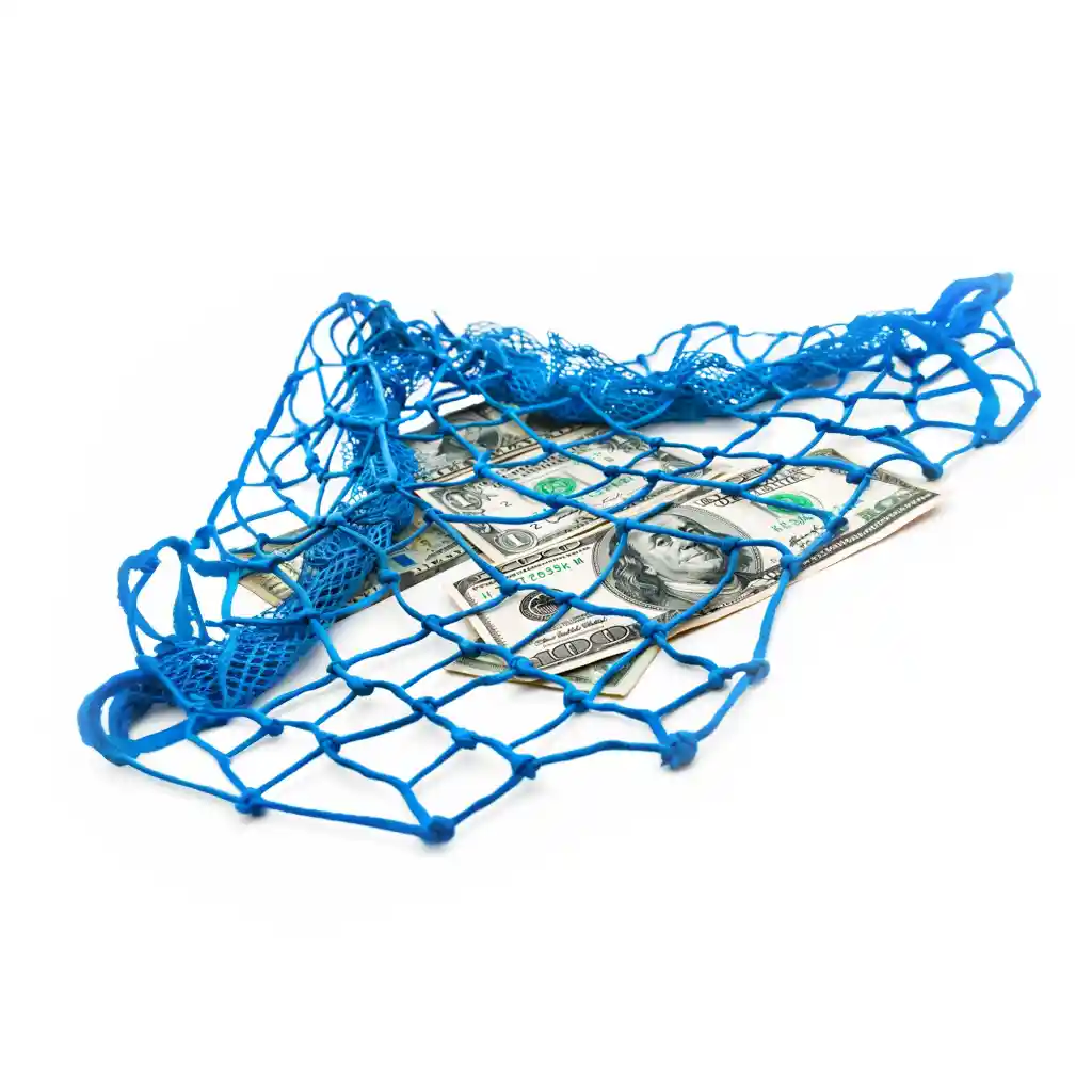 A blue net with money in it.