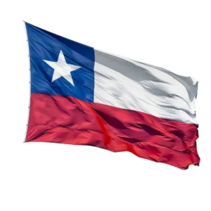 A Texas state flag waving in the wind.
