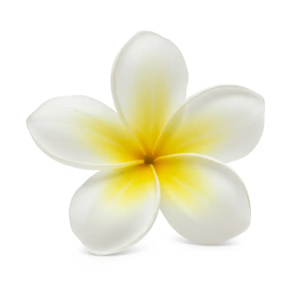 Hawaiian flower